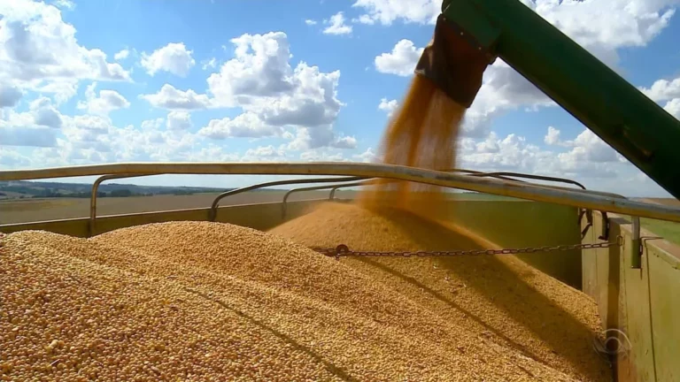Safra de grãos prevê faturamento de 323 milhões.