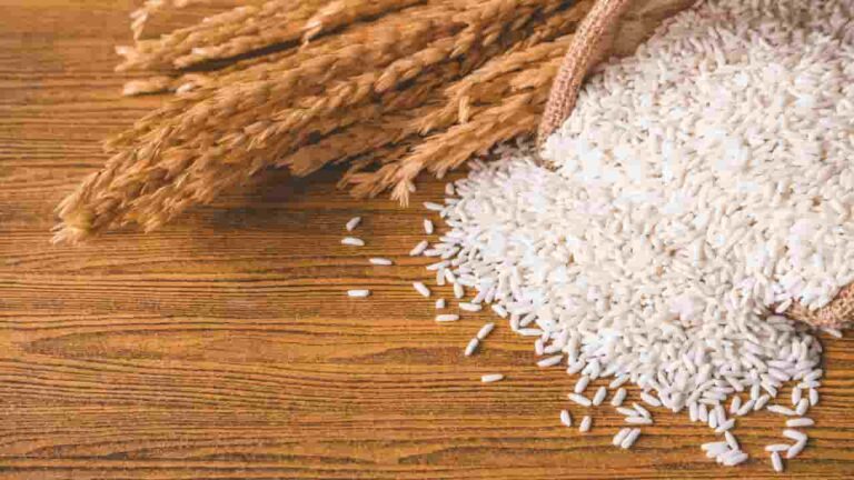 Governo federal deve importar arroz nos próximos meses 2025.