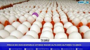Preço do ovo dispara e chega a 15 %